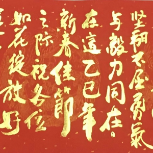 2025年四川省康复治疗师协会新春贺词